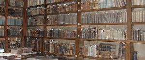 st carthages cathedral - Cotton Library image2@1x