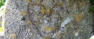 st carthages cathedral - Graveyard1